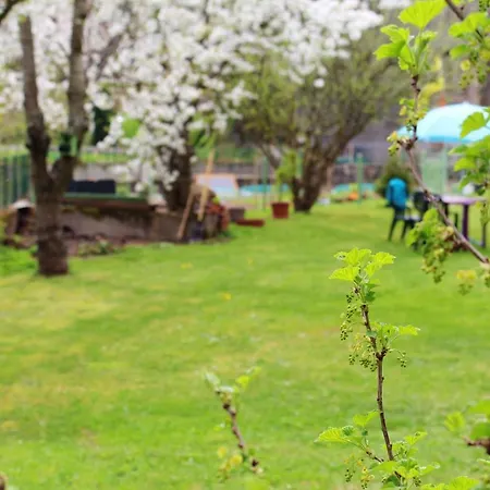Appartement D'Une Chambre Avec Jardin Clos A Orcival Orcival
